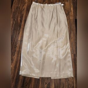 Alex Evenings Shimmery Lined Champagne Maxi Skirt Sz 18WP NWT